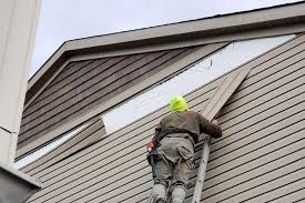 Storm Damage Siding Repair in Mount Carmel, TN